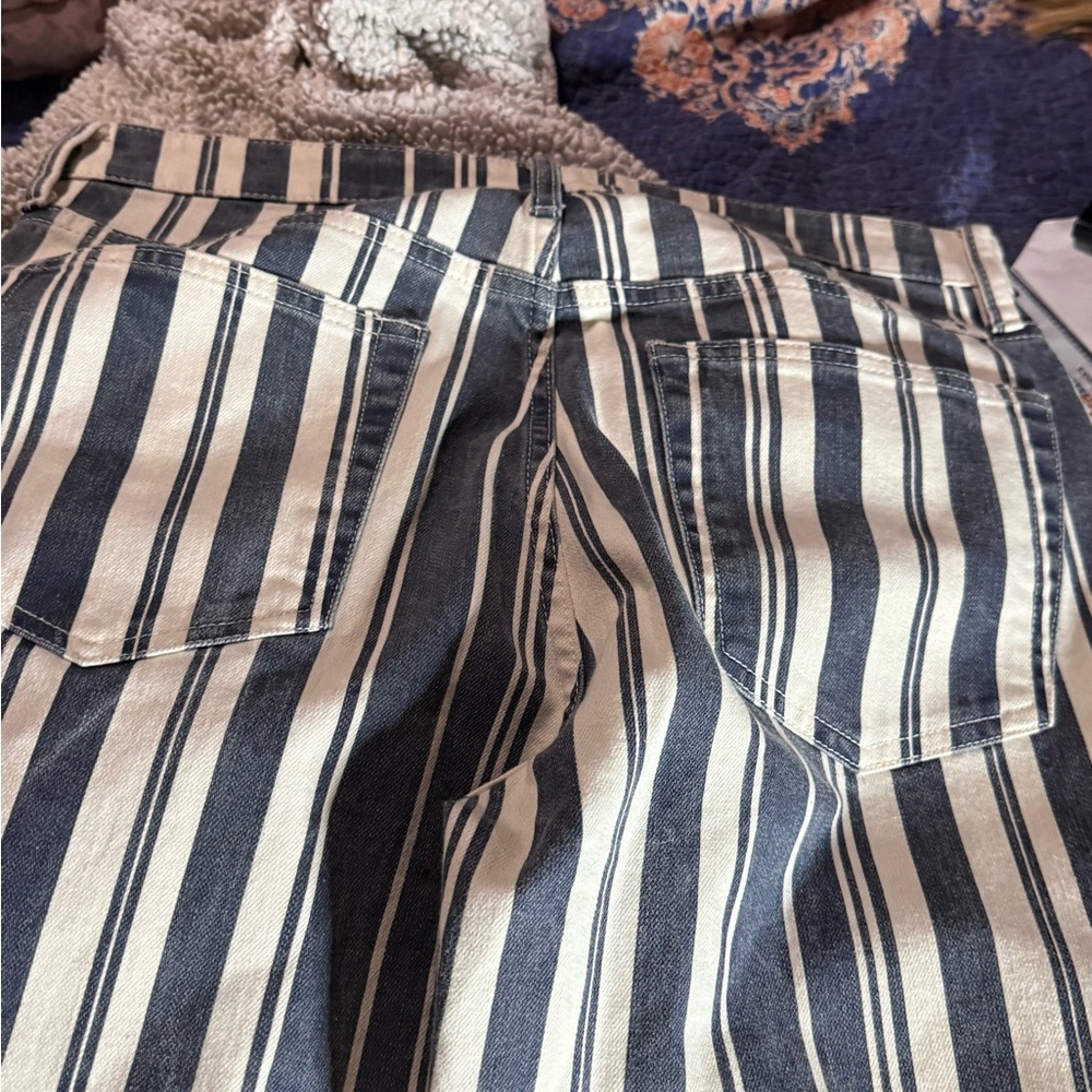 Lucky Brand Blue and White Striped Ankle Jeans - Picture 2 of 7